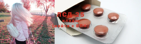 круглые Абаза