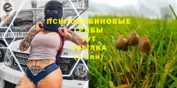 круглые Абаза