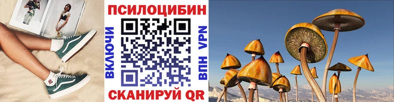 Галлюциногенные грибы мицелий  Фокино 